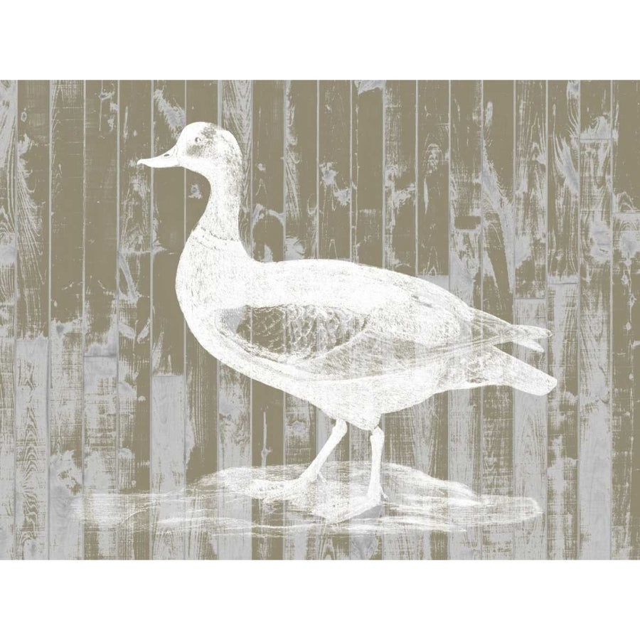 Woodgrain Fowl II Poster Print - Jennifer Goldberger-VARPDX109785D Image 1