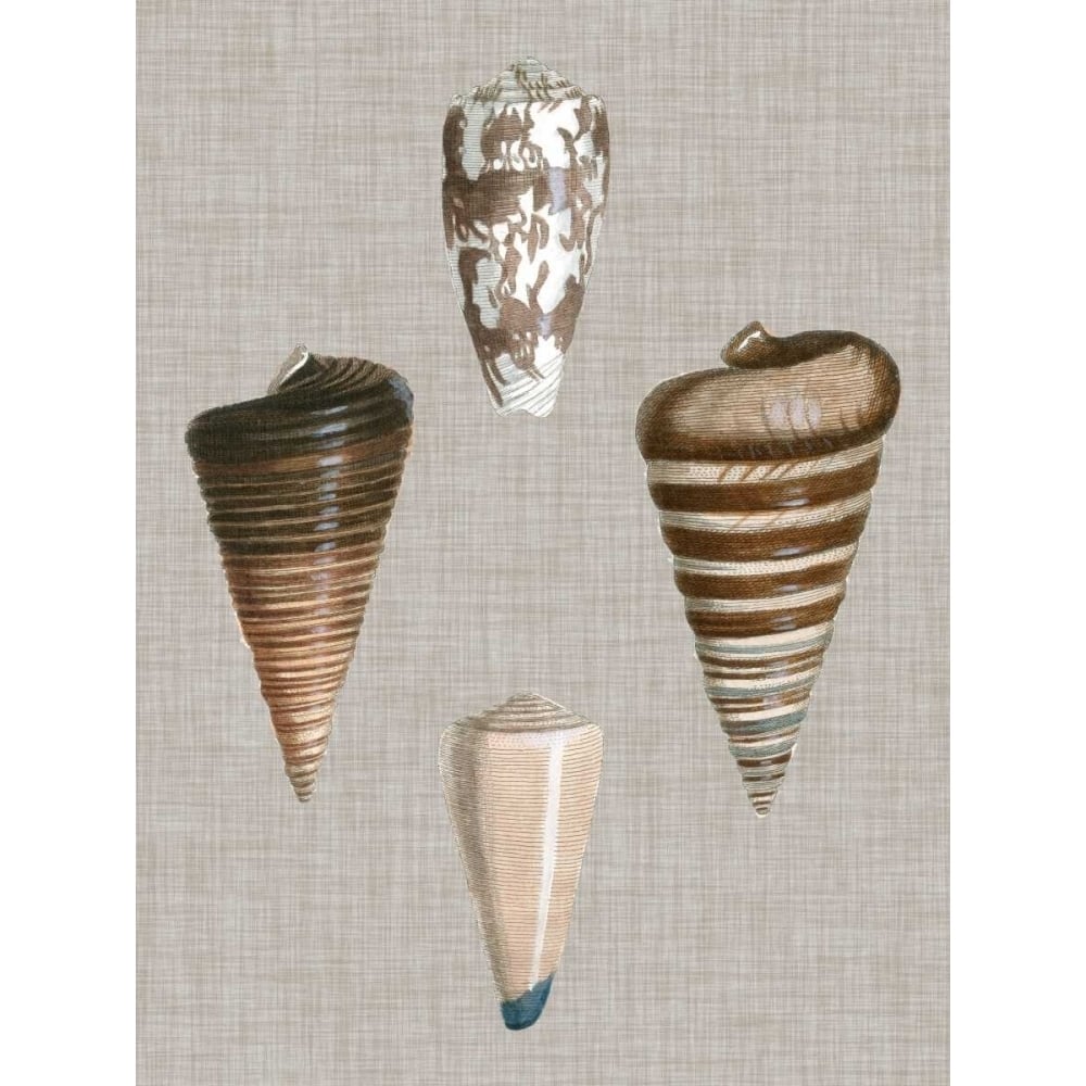 Shells on Linen III Poster Print - Studio Vision-VARPDX109919Z Image 1