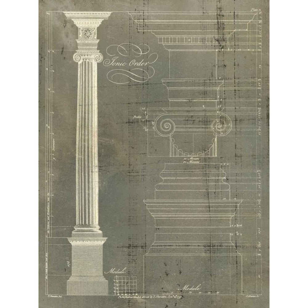 Column Blueprint II Poster Print - Thomas Sheraton-VARPDX109928Z Image 1