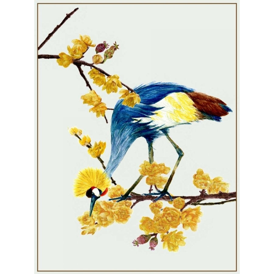 Chimonanthus Praecox I Poster Print - Melissa Wang-VARPDX109985Z Image 1