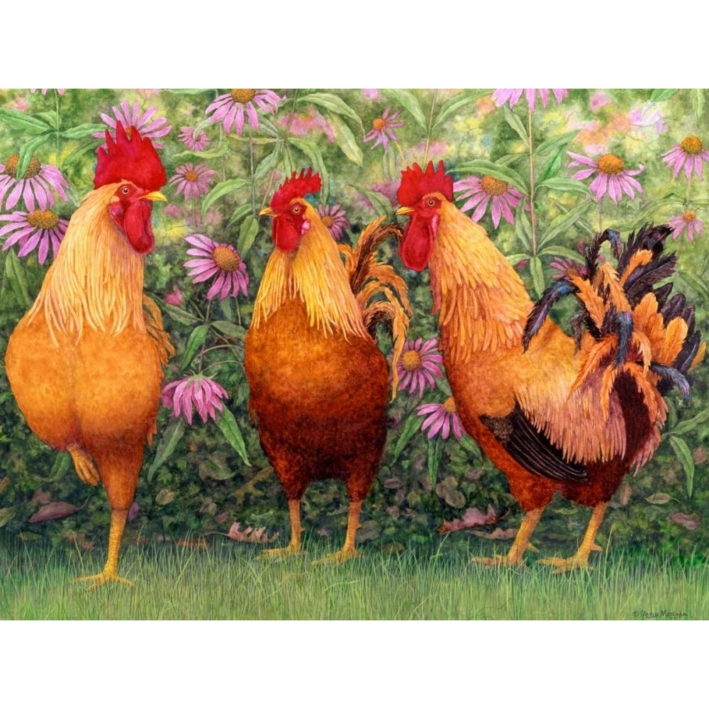 Roosters en Place I Poster Print - Marcia Matcham-VARPDX109987GG Image 1