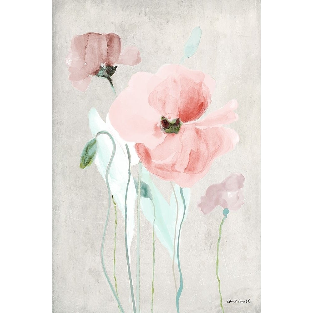 Soft Pink Poppies I Poster Print by Lanie Loreth-VARPDX10998FF Image 1