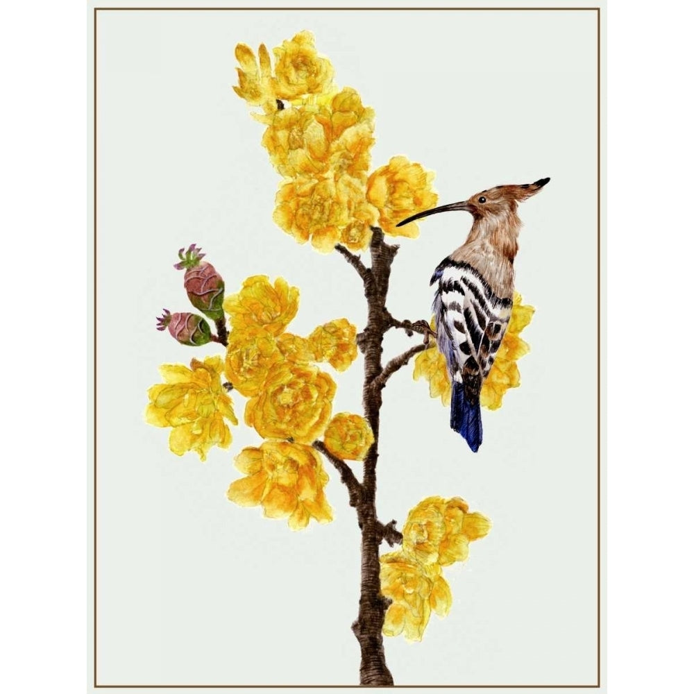 Chimonanthus Praecox II Poster Print - Melissa Wang-VARPDX109986Z Image 1