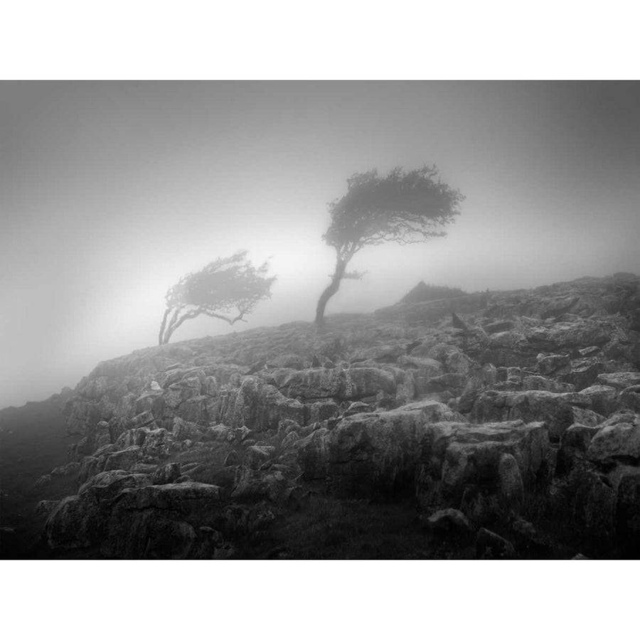 Misty Weather VI Poster Print - Martin Henson-VARPDX110030D Image 1