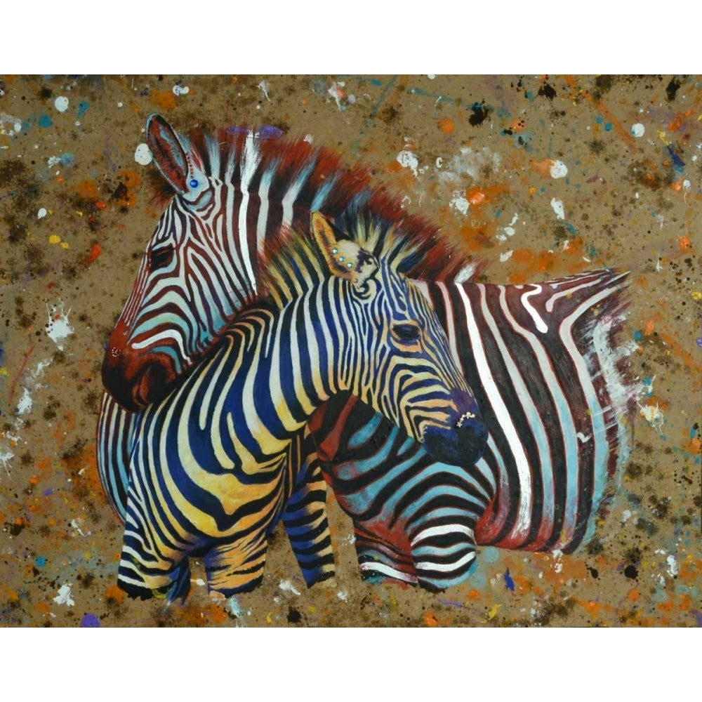 Zebras Poster Print by Jean-Marc Chamard-VARPDX11012 Image 1