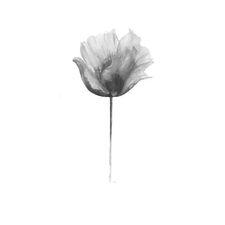 Flower in Gray Panel I Poster Print by Patricia Pinto-VARPDX11010CC Image 1