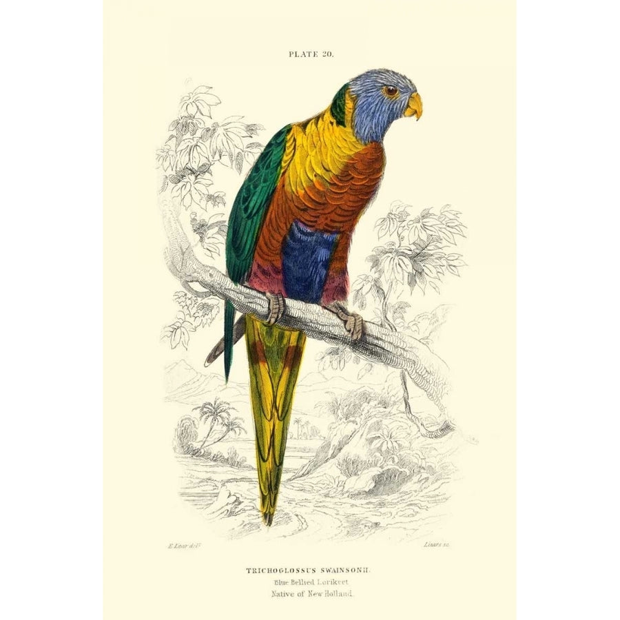 The Naturalists Library III Poster Print - W.H. Lizars-VARPDX110183D Image 1