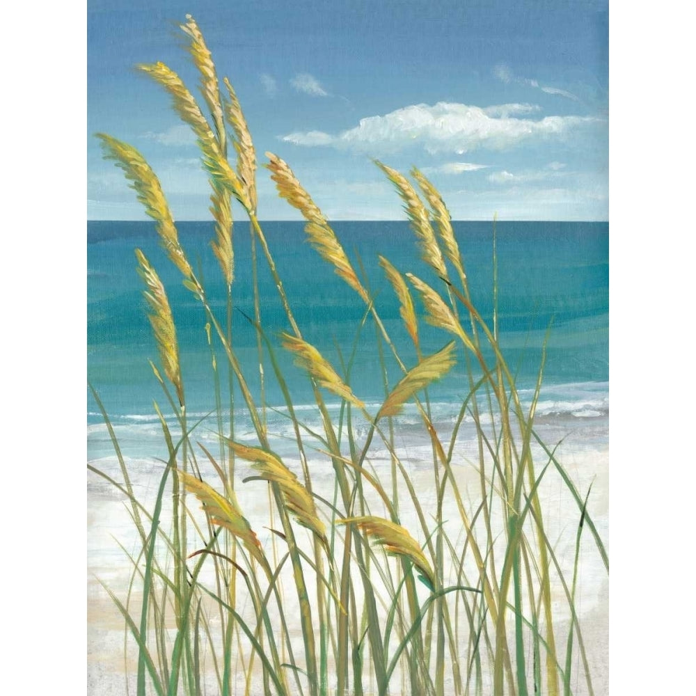 Summer Breeze I Poster Print - Tim OToole-VARPDX110229D Image 1