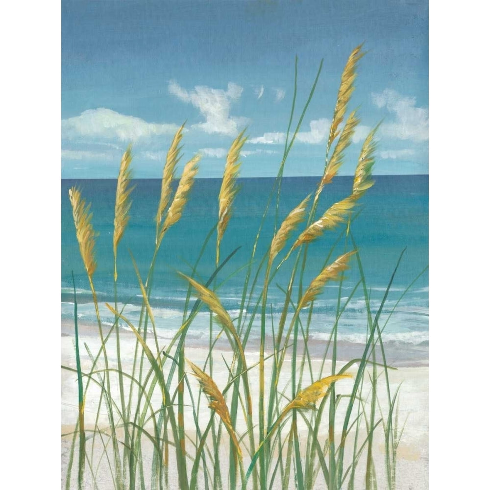 Summer Breeze II Poster Print - Tim OToole-VARPDX110230D Image 1