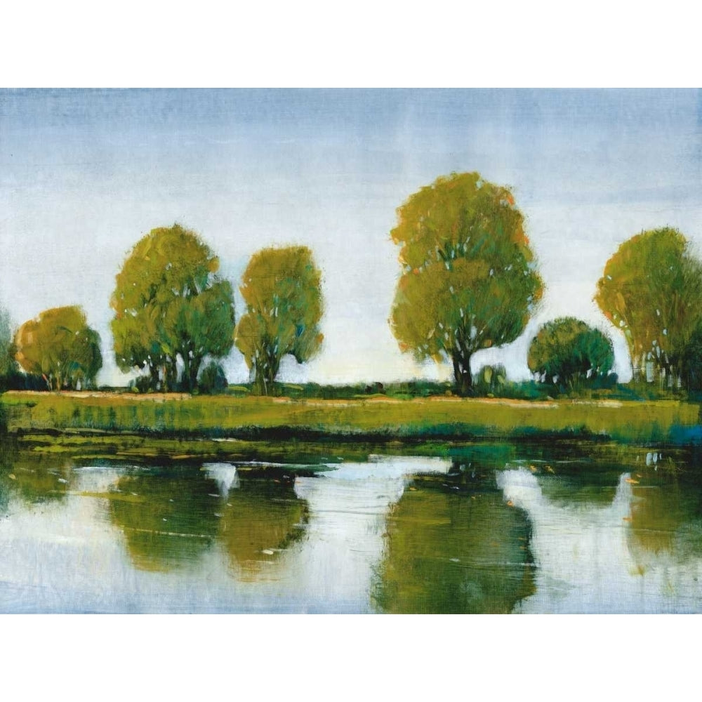 River Reflections I Poster Print - Tim OToole-VARPDX110241D Image 1