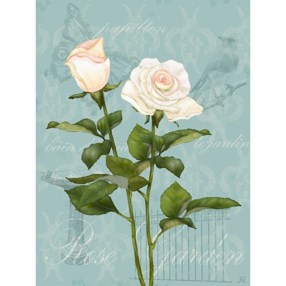 Cream Rose II Poster Print - Jade Reynolds-VARPDX110287D Image 1