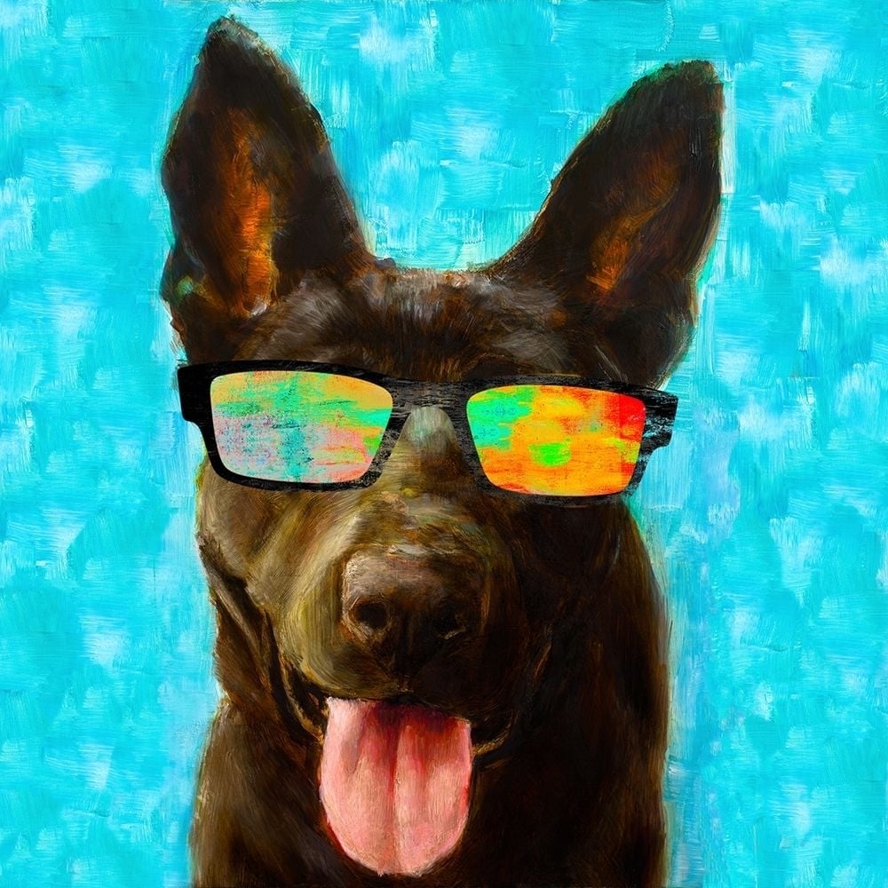 Puppy with Shades II Poster Print by Walt Johnson-VARPDX11029M Image 1