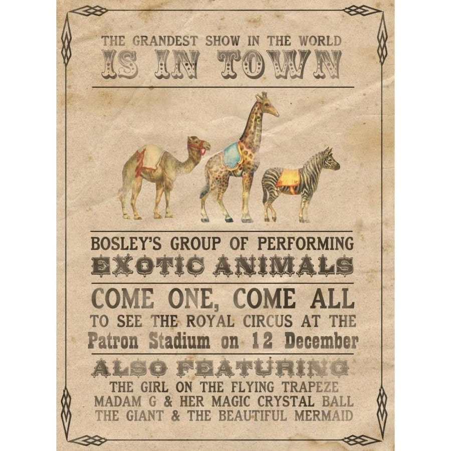 Vintage Circus III Poster Print - Grace Popp-VARPDX110300D Image 1