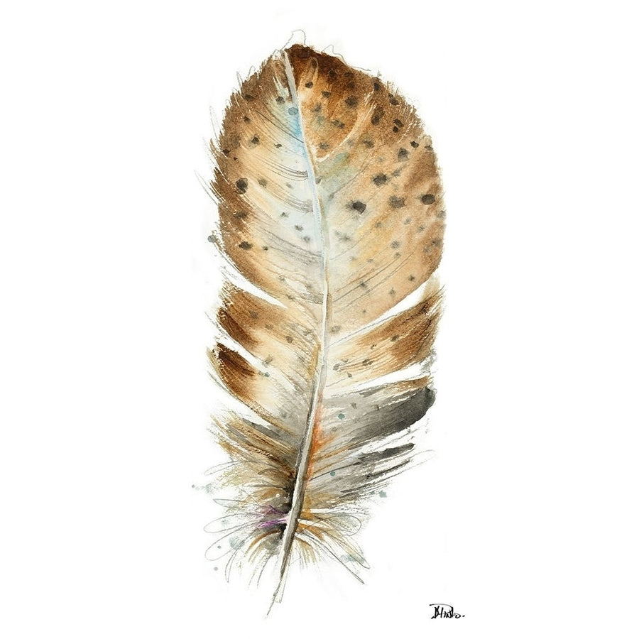 White Watercolor Feather II Poster Print by Patricia Pinto-VARPDX11051BB Image 1