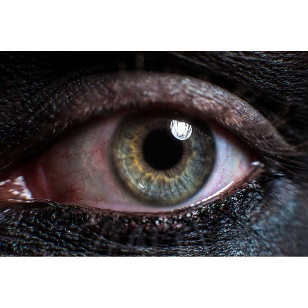 Eye Poster Print by Sander Van Laar-VARPDX11052 Image 1