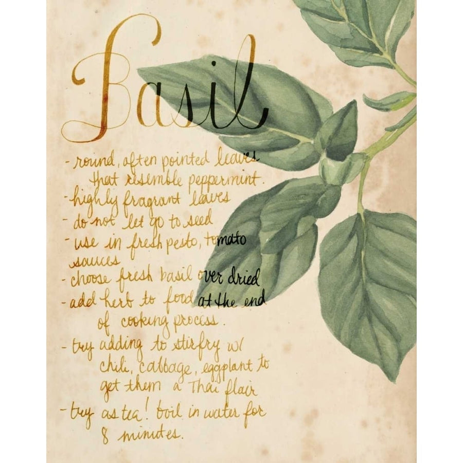 Herb Study I Poster Print - Grace Popp-VARPDX110716D Image 1