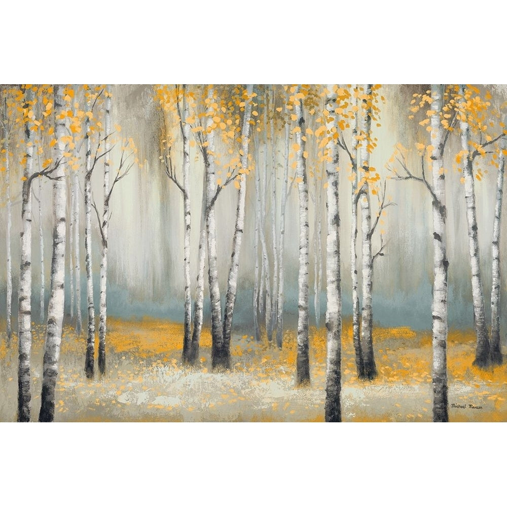 Golden September Birch Poster Print by Michael Marcon-VARPDX11069A Image 1