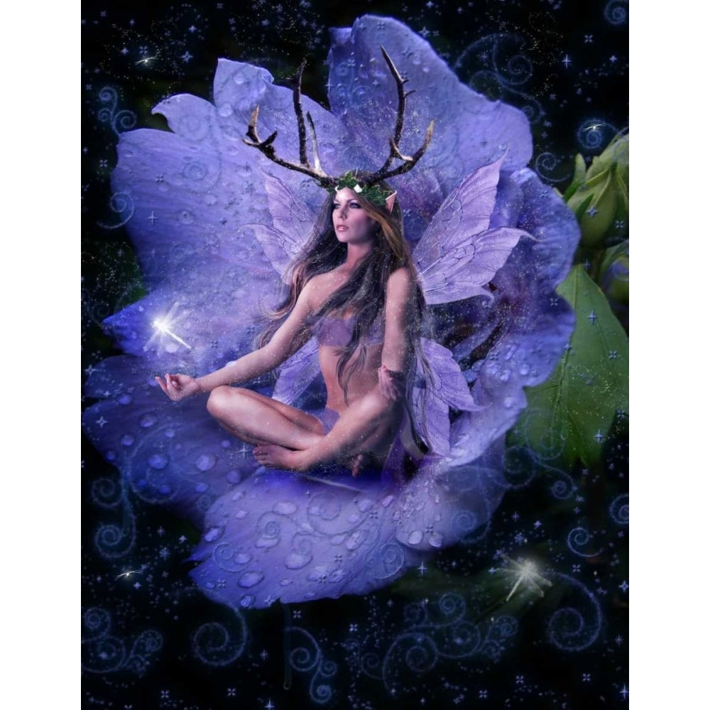 Fairy 26 Poster Print by Babette-VARPDX11079 Image 1