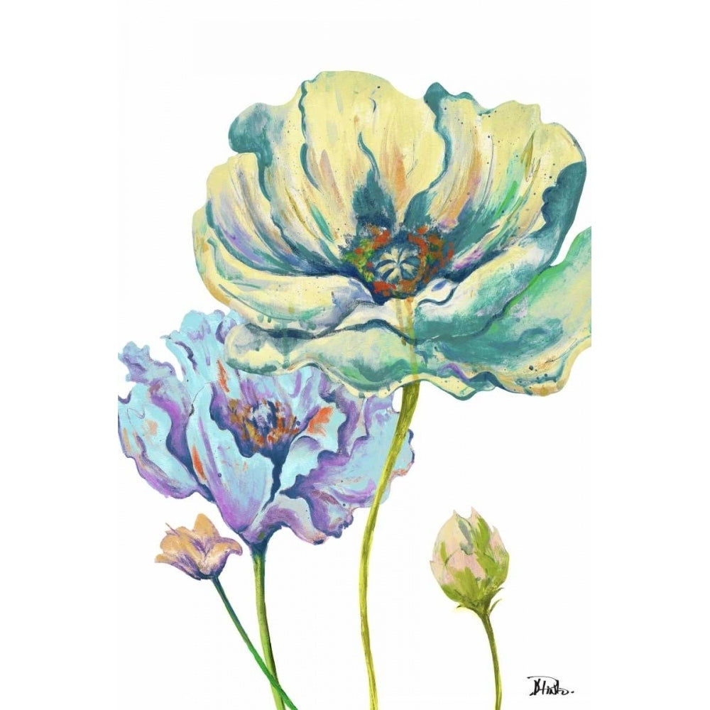 Fresh Colored Poppies II Poster Print by Patricia Pinto-VARPDX11092A Image 1