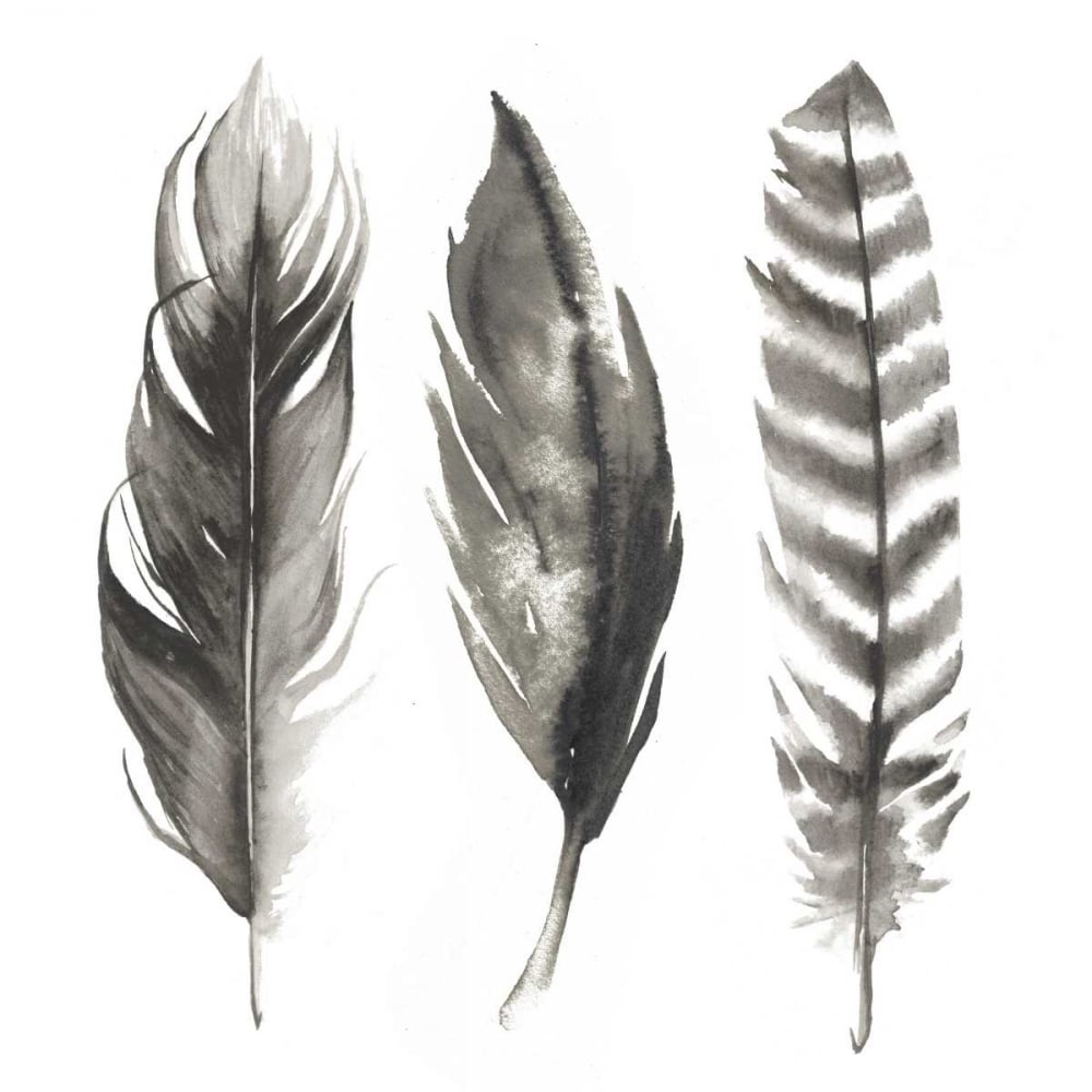 Watercolor Feathers I Poster Print - Grace Popp-VARPDX111106D Image 1