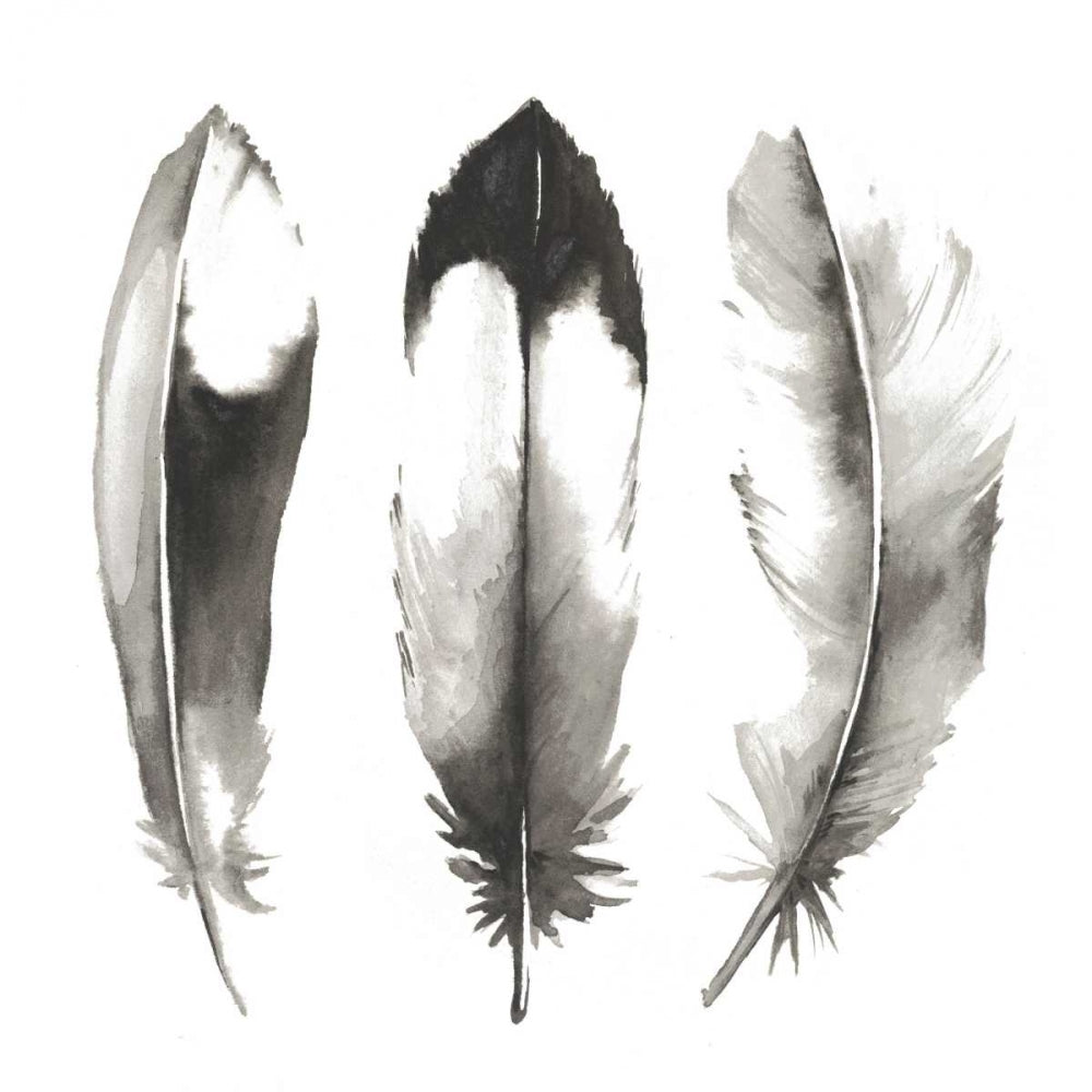 Watercolor Feathers II Poster Print - Grace Popp-VARPDX111107D Image 1