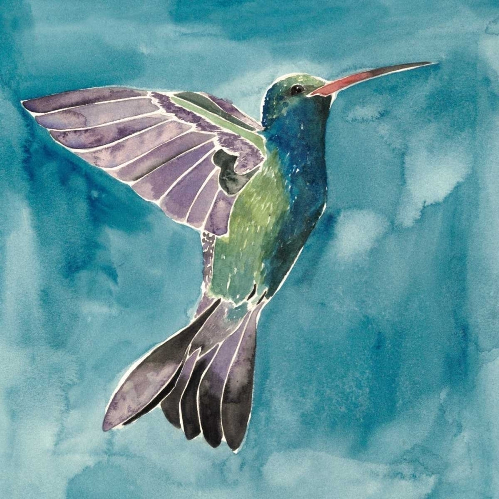 Watercolor Hummingbird I Poster Print - Grace Popp-VARPDX111286D Image 1