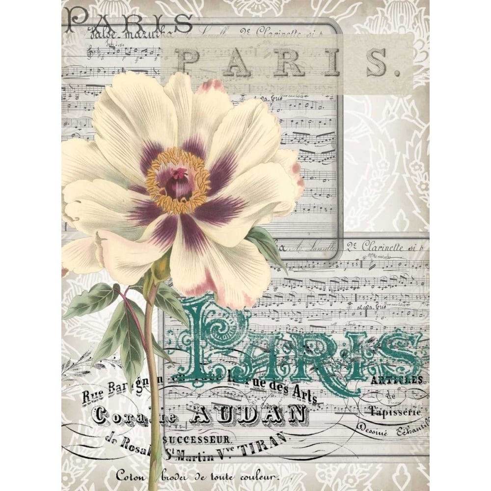 Musical Paris II Poster Print - Jennifer Goldberger-VARPDX111439D Image 1