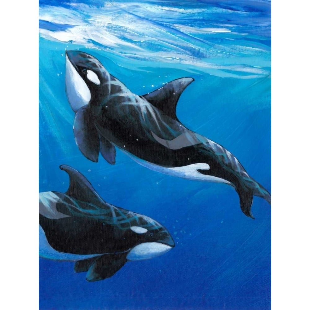 Under Sea Whales II Poster Print - Tim OToole-VARPDX112283D Image 1