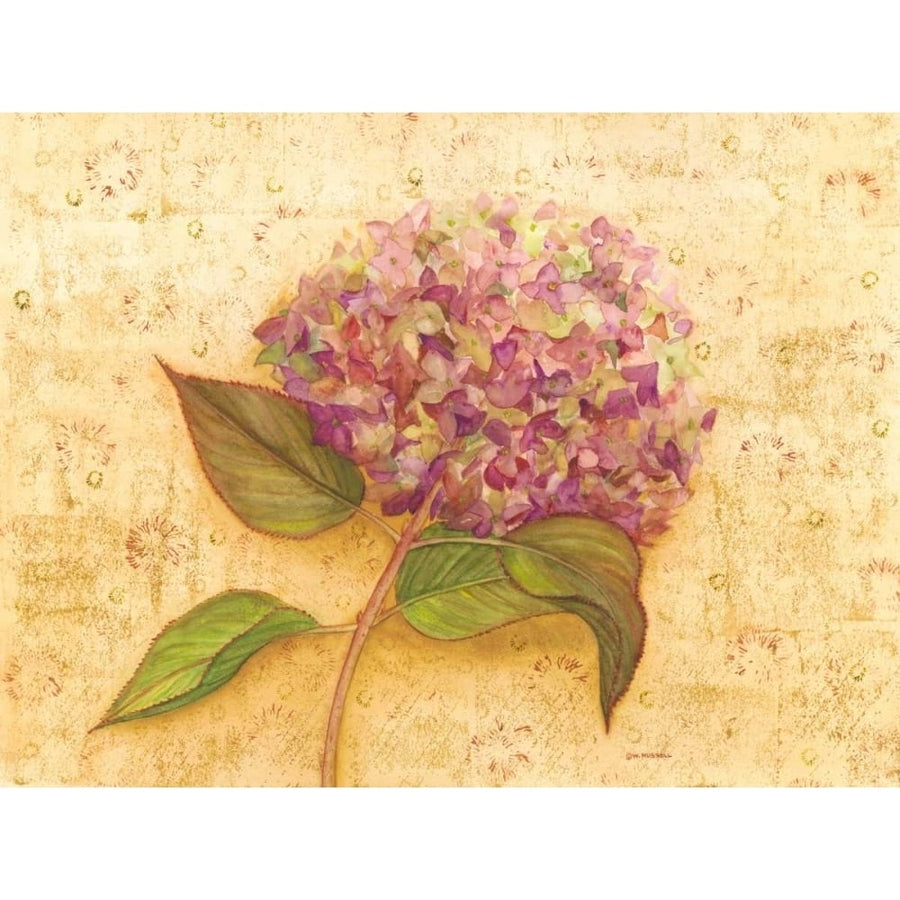 Hydrangea Love I Poster Print - Wendy Russell-VARPDX112381D Image 1