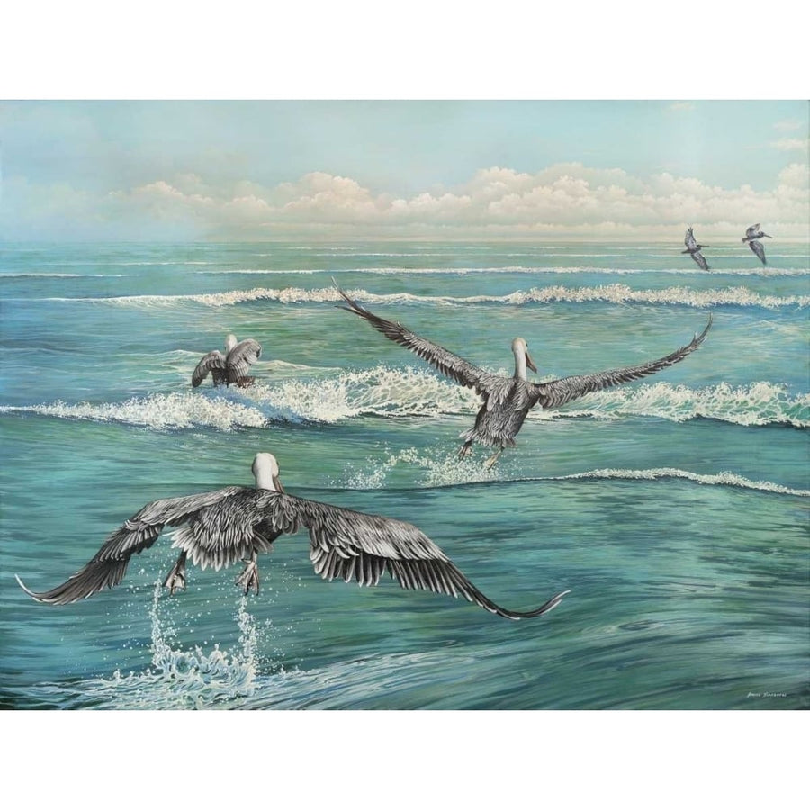 Pelican Beach Poster Print by Bruce Nawrocke-VARPDX11240 Image 1