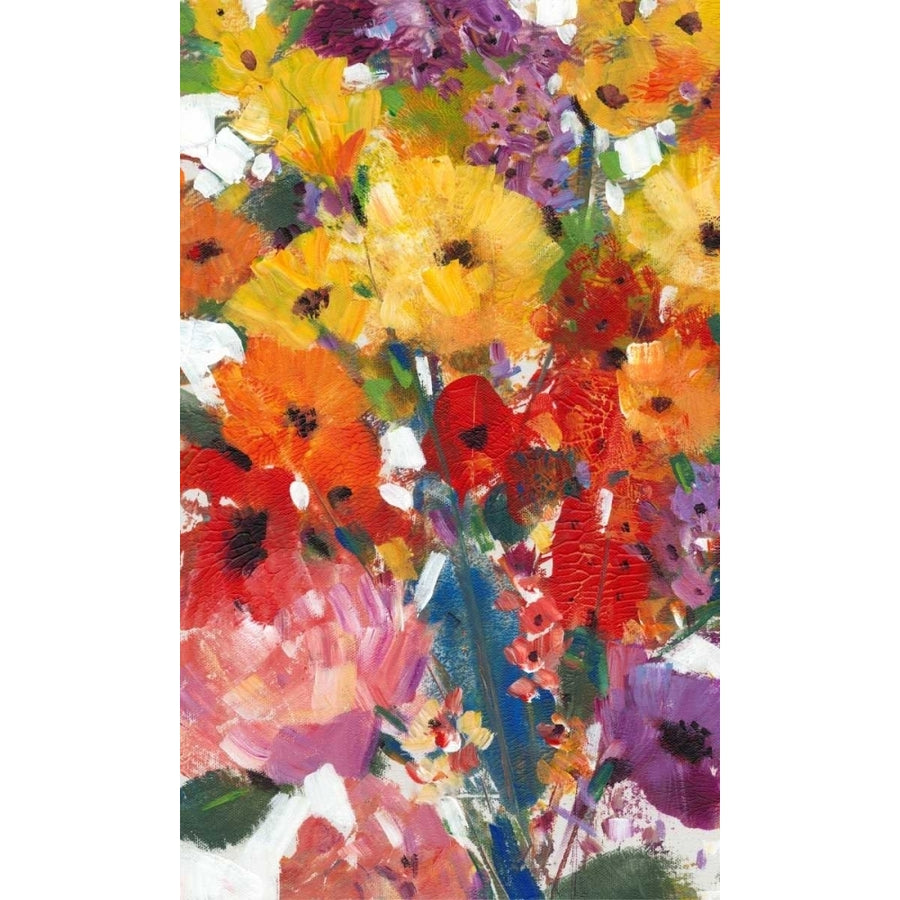 Fresh Floral II Poster Print - Tim OToole-VARPDX112799FN Image 1