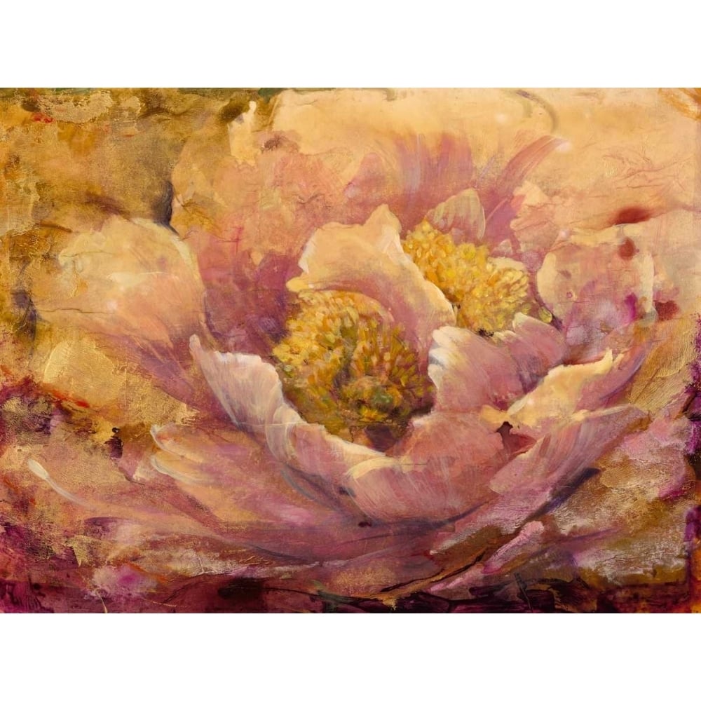 Floral in Bloom I Poster Print - Tim OToole-VARPDX112802Z Image 1