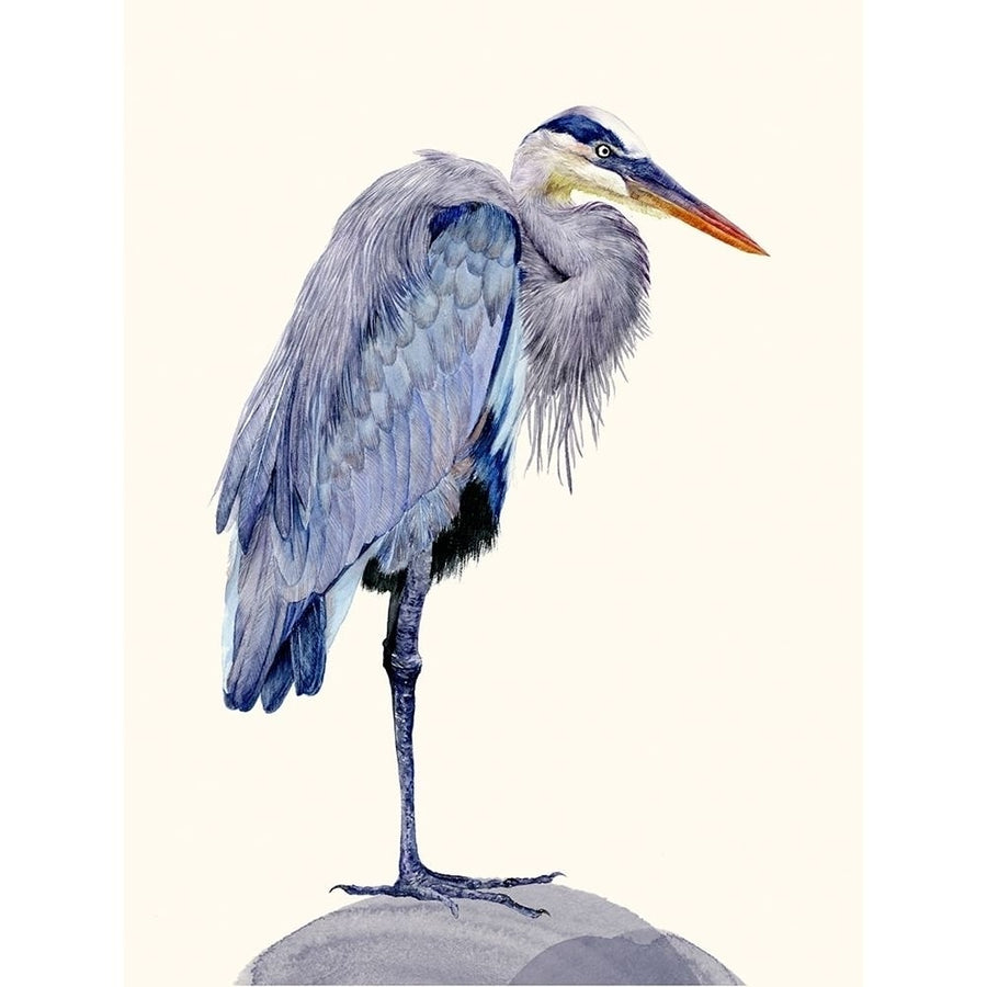 Heron Study II Poster Print - Melissa Wang-VARPDX112883Z Image 1