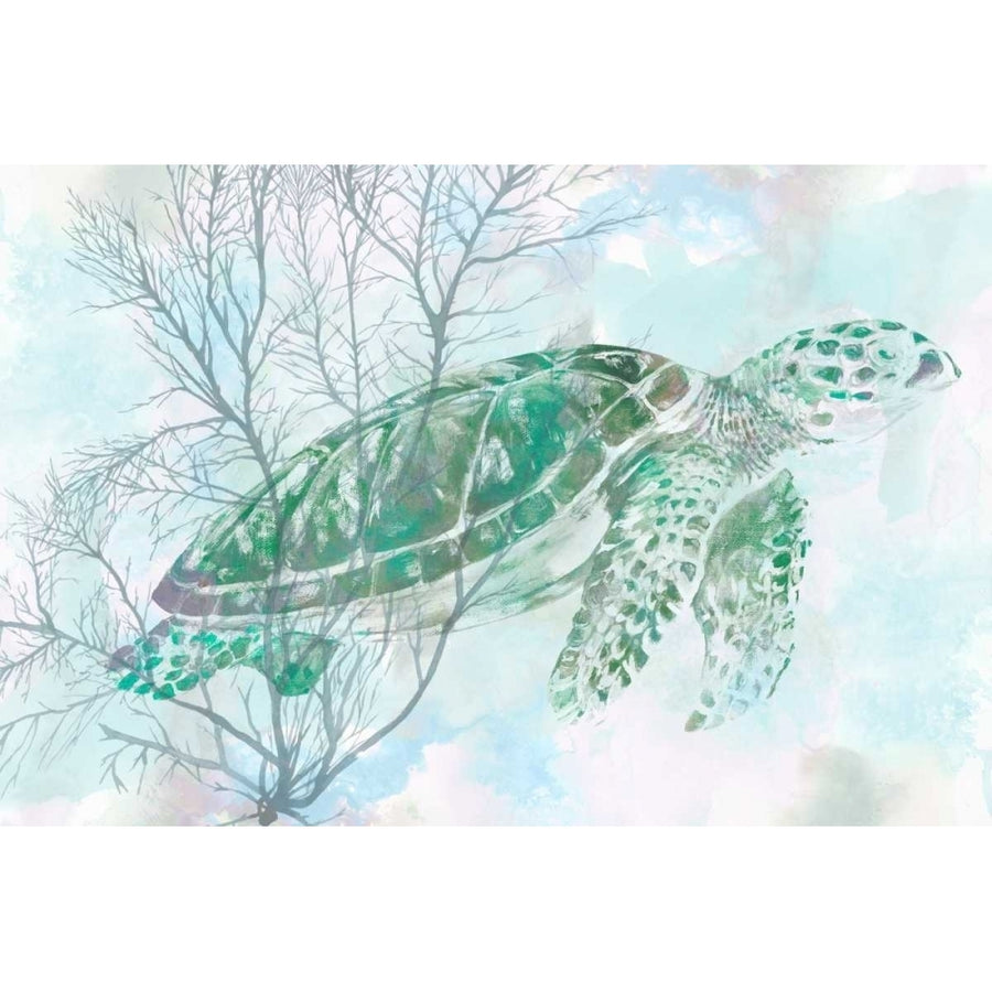 Watercolor Sea Turtle I Poster Print - W Studio-VARPDX112911GG Image 1