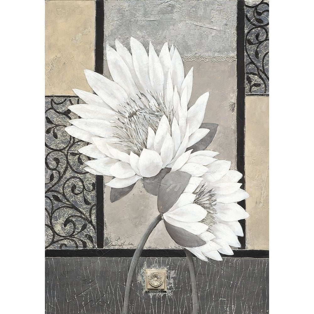 White Waterlily Poster Print by Claudia Ancilotti-VARPDX11312 Image 1