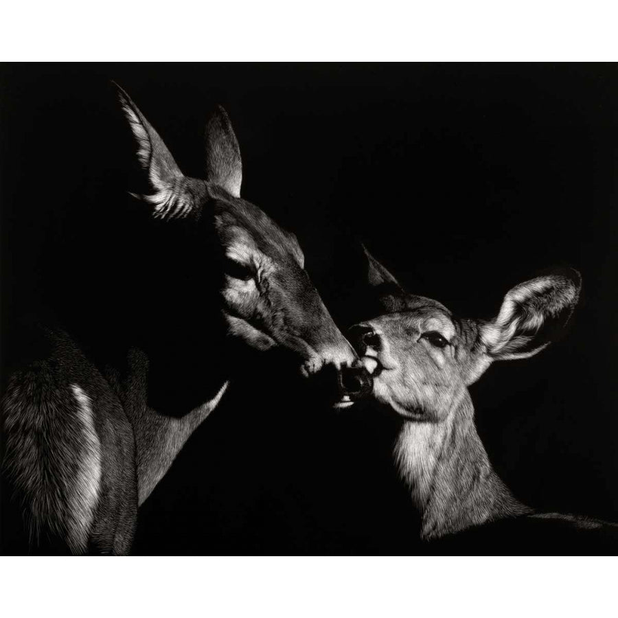 Scratchboard Mother Love 2 Poster Print - Julie T. Chapman-VARPDX113207Z Image 1