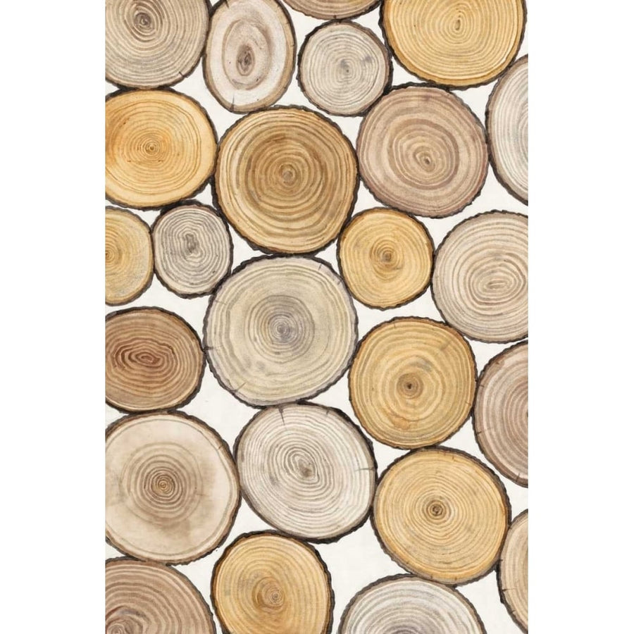 Tree Ring Study I Poster Print - Tim OToole-VARPDX113372Z Image 1