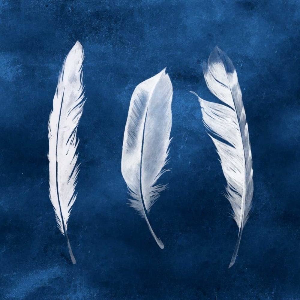 Cyanotype Feathers II Poster Print - Grace Popp-VARPDX113402D Image 1