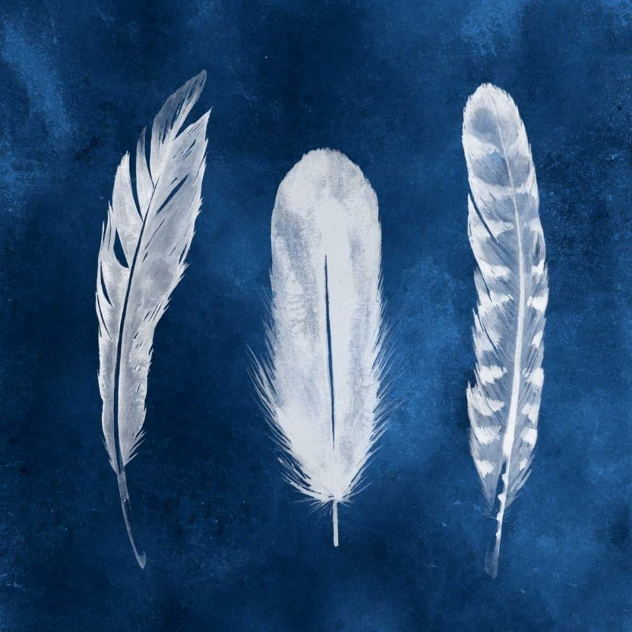 Cyanotype Feathers I Poster Print - Grace Popp-VARPDX113401D Image 1