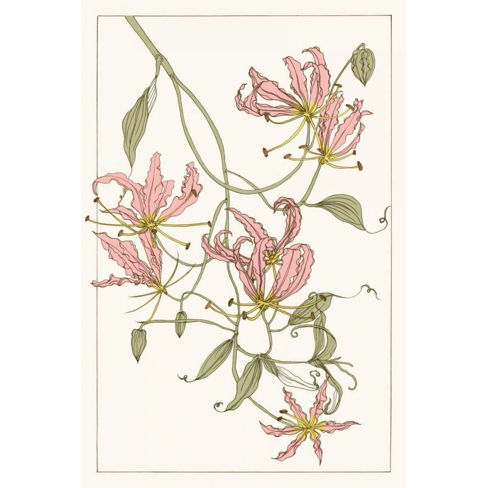 Botanical Gloriosa Lily II Poster Print - Melissa Wang-VARPDX113464Z Image 1