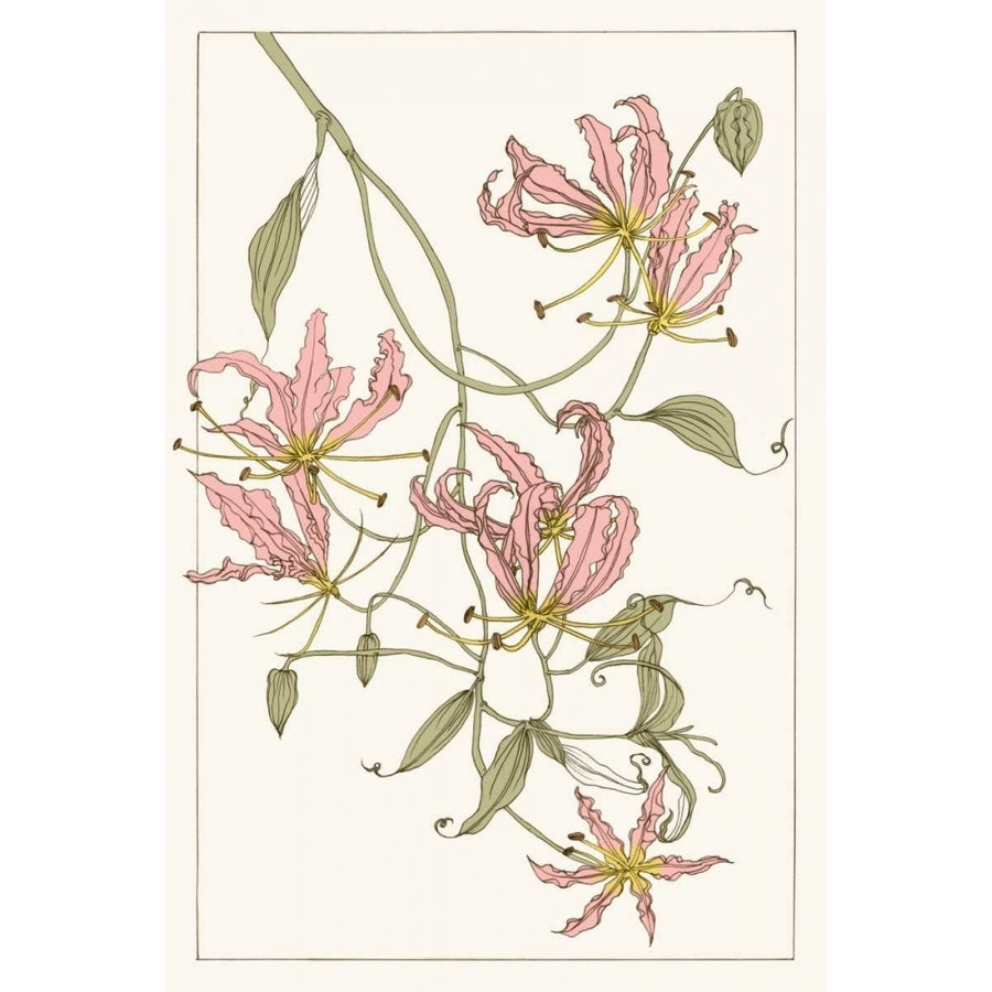 Botanical Gloriosa Lily II Poster Print - Melissa Wang-VARPDX113464Z Image 1