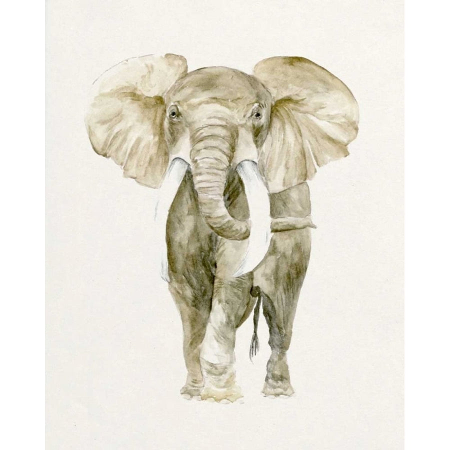 Baby Elephant I Poster Print - Melissa Wang-VARPDX113510Z Image 1