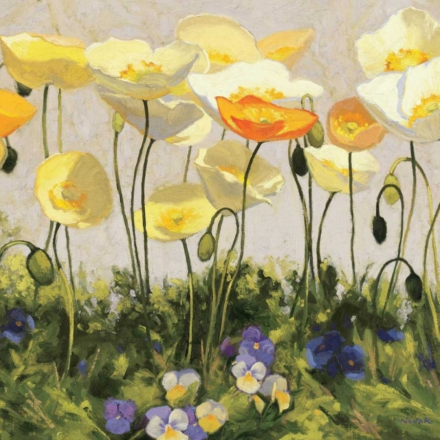 Poppies and Pansies II Poster Print by Shirley Novak-VARPDX11382 Image 1