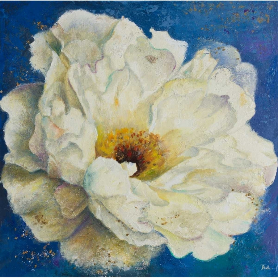 Zuzu Peony I Poster Print by Patricia Pinto-VARPDX11390 Image 1