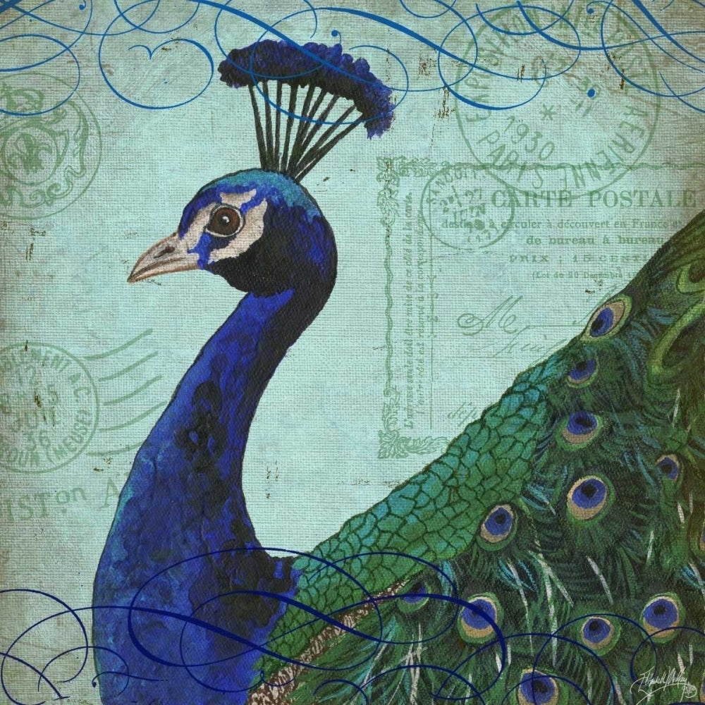 Parisian Peacock II Poster Print by Elizabeth Medley-VARPDX11399 Image 1