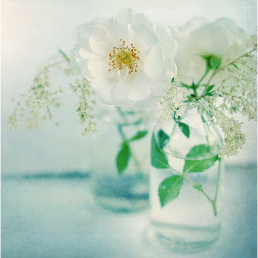 White Peonies Poster Print by Sarah Gardner-VARPDX11400 Image 1