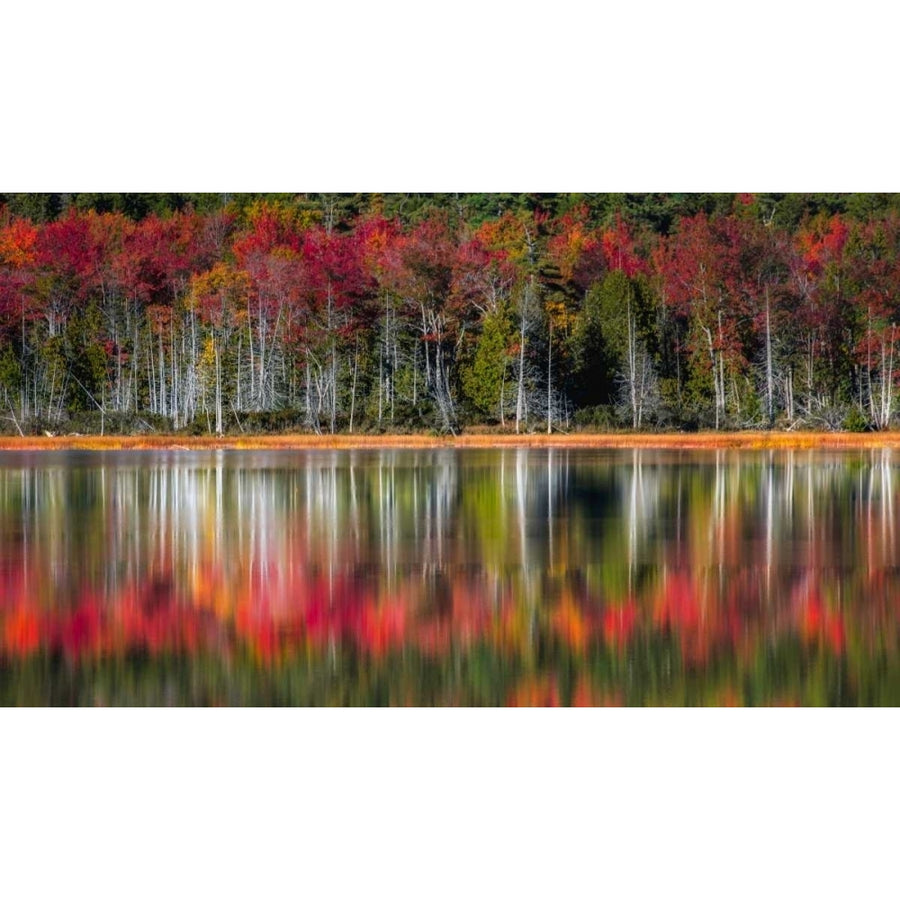 Autumn Reflections Poster Print - Danny Head-VARPDX114026Z Image 1