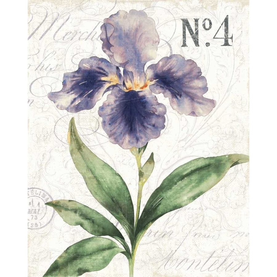 Bloom II Poster Print by Wild Apple Portfolio-VARPDX11407 Image 1