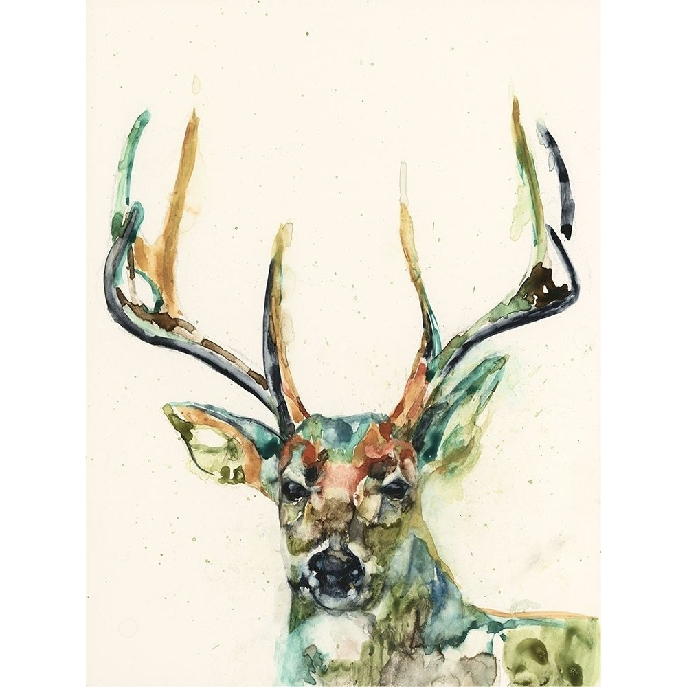 Custom Hi Fi Wildlife II Poster Print - Jennifer Goldberger-VARPDX114133VM Image 1