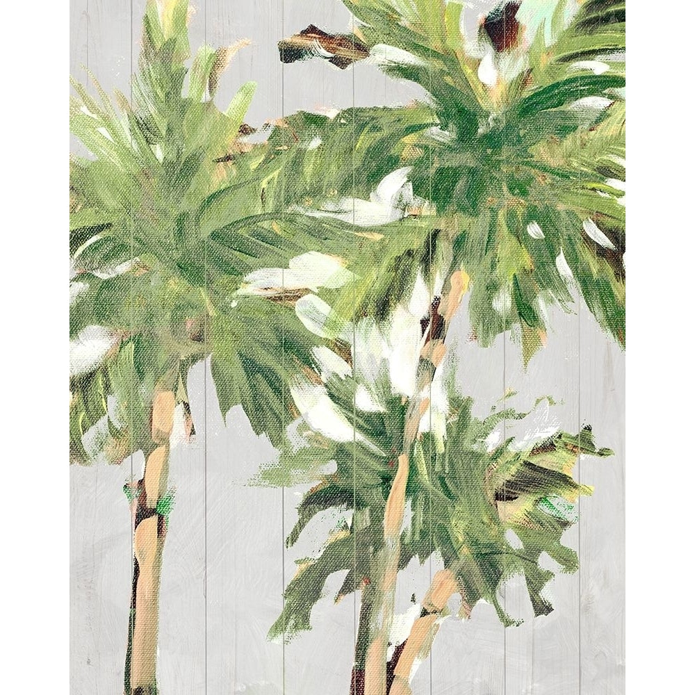 Caribbean Palm Trees Poster Print by Jane Slivka-VARPDX11422L Image 1